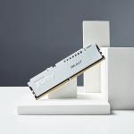 Kingston FURY Beast White DDR5 16GB 6000MT/s CL36 Desktop Gaming Memory - KF560C36BWE2-16